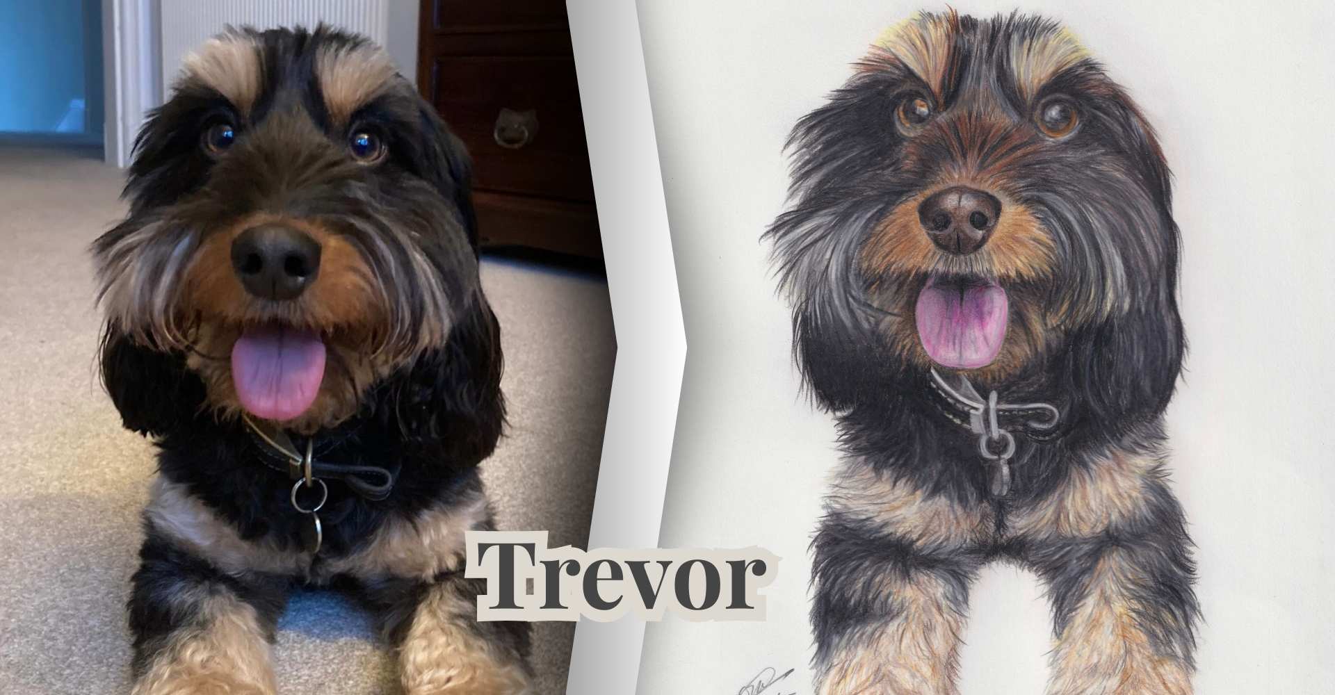 artisan pet portraits birmingham uk-2