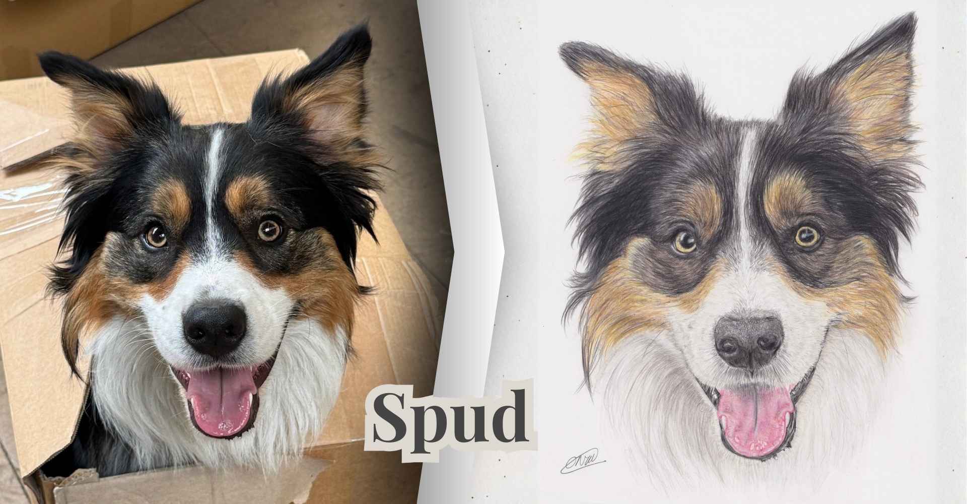 artisan pet portraits birmingham uk-3