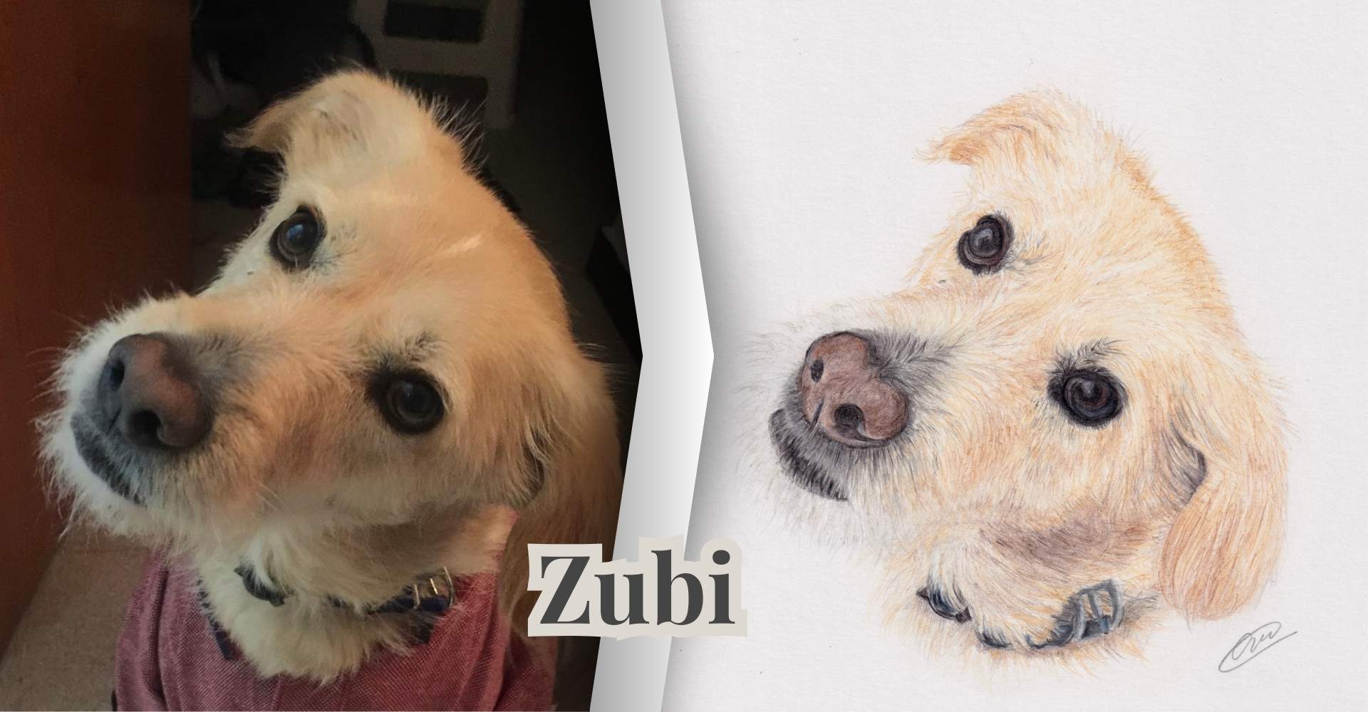 artisan pet portraits birmingham uk