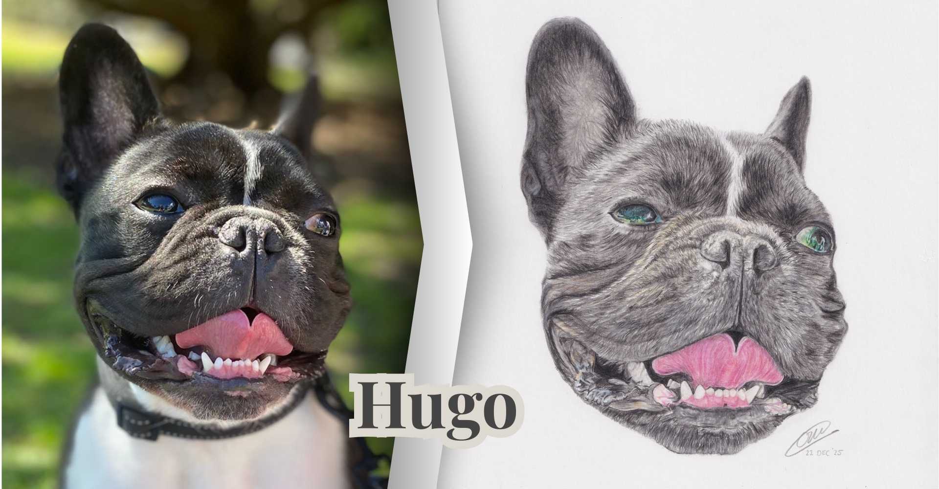 artisan pet portraits birmingham uk-5